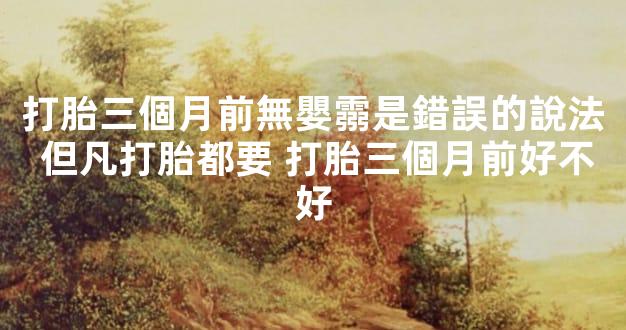 打胎三個月前無嬰霛是錯誤的說法 但凡打胎都要 打胎三個月前好不好